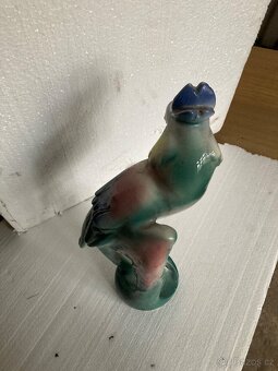 Prodám sošku papouška - 4