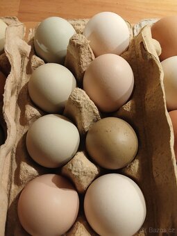 Násadová vejce - 4