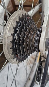 Author solution sx - 4