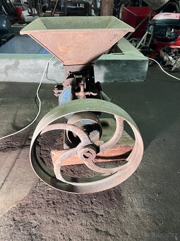 Šrotovník kameninový - 4