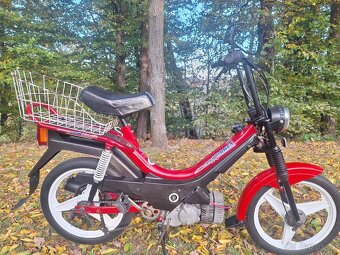 Manet korado v pěkném stavu - 4