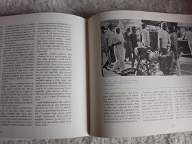 Prodám starší naučnou knihu Asie - Ivan Bičík, Alois Oberman - 4