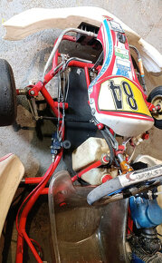 Motokára Birel Easy 60 - 4