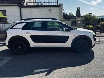 C4 Cactus - 4