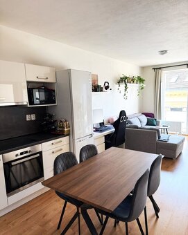 Pronájem bytu 2+kk 50 m² - 4