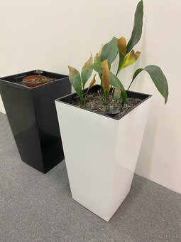 Květináč velký, lesklý, bílý PC 2500,- - 4