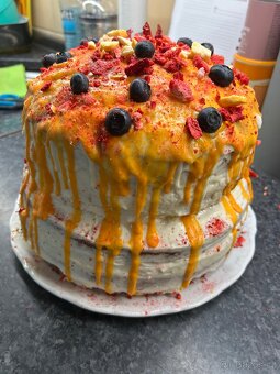 Pečení domácích dortu - 4