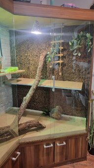 Prodám terarium. - 4