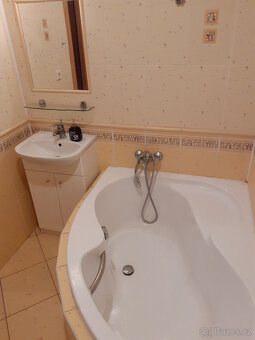 Pronájem bytu 2,5+kk - 4