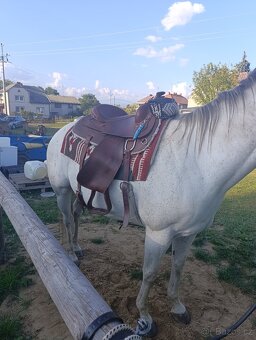 Westernové sedlo - 4