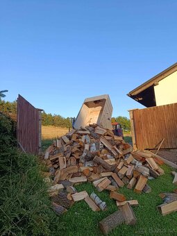 Štípané palivové dřevo a dubové kůly - 4