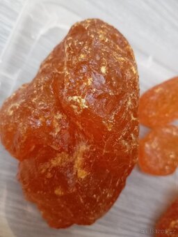 Kalafuna - 4