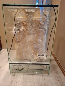 Terarium - 4