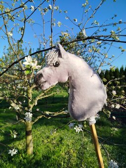 Hobby horse - 4