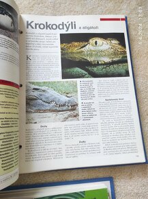 Encyklopedie Svět poznání - 4