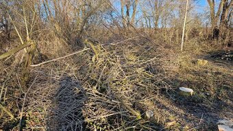 Větve k štěpkování zdarma - 4