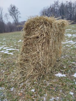 Seno - hranaté balíky - 4
