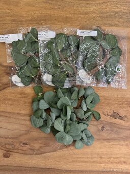 Dekorační plovoucí listy / květy – umělé - 4