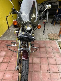 Virago 750 - 4