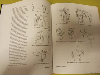 Monty Roberts - Průvodce nenásilným výcvikem koní - 4