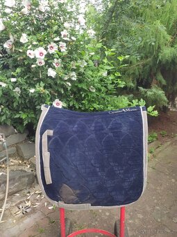 Drezurní dečky VÍCE KUSŮ - 4