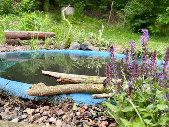 Zahrada Javornik - 4