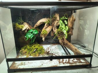 Terárium 60x45x45 - 4