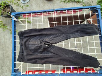 Rajtky Pikeur s celogripem - 4