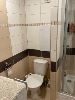Pronájem 2kk 40m2 Mělník ul. Vlasákova - 4