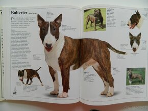 Velká kniha o psech - 4