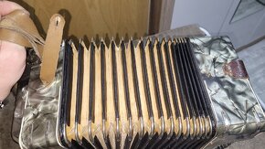 Tahaci Harmonika - 4