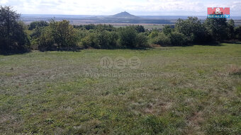 Prodej louky, 13227 m², Jenčice - 4