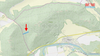 Prodej lesa, 8758 m², Čepice - 4