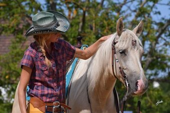 Nádherný PALOMINO 8mi letý valach AQHA - 4