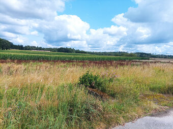 Stavební parcela Popelín okres Jindříchův Hradec - 4