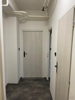 Pronájem 1+ 1 Třinec - Terasa - 4