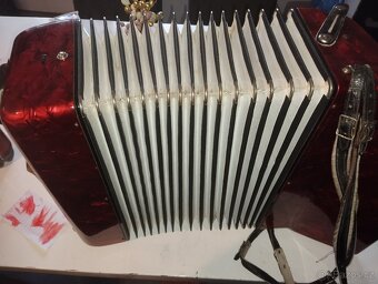 Harmonika akordeon delicia - 4