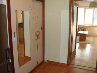 Pronájem bytu 2+kk, Bayerova, Veveří, 17000 Kč/měs, 46 m2 - 4