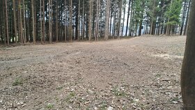 Lesní povrchová fréza - 4