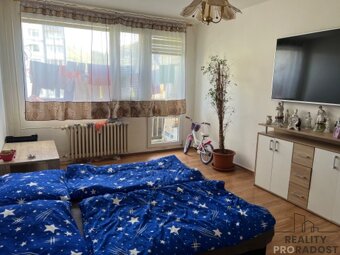 Prodej bytu 2+1/L, byt 2+1 Ústí nad Labem - 4