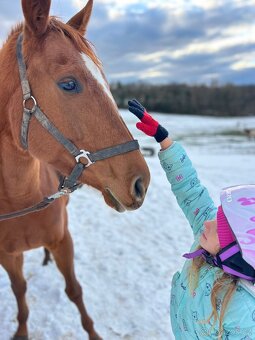 Klisna milionové povahy - 4