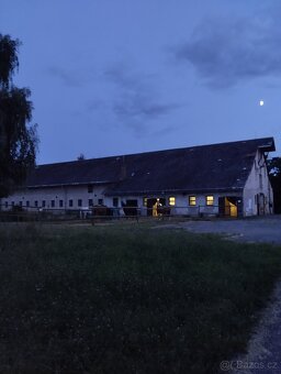 Ustájení - 4