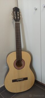 Kytara s kufrem - 4