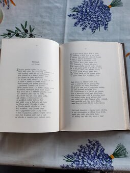 Jaroslav Vrchlický sbírka děl - 4