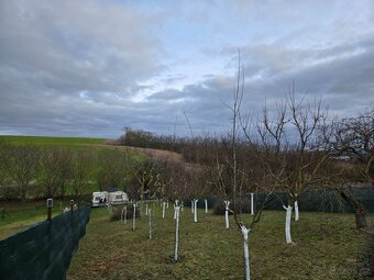 Zahrada s duší pro odpočinek, Vracov u Kyjova - 4