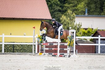 Všestranná klisna - 4