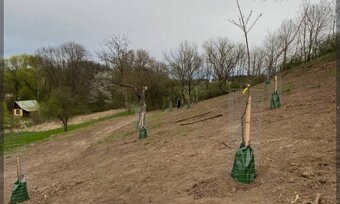 Hodinové manžel - 4