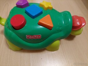 Želva s kladivkem - 4