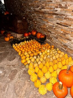 Dýně Halloween - 4