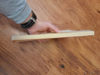 Legendární kniha Dr. Miroslava Tyrše Základové tělocviku - 4